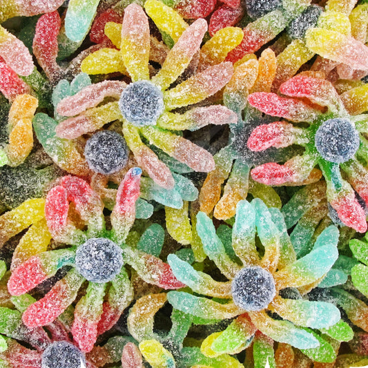 Octopus Trolli acidulée 100g